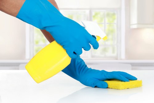 Healthy home environment with dust-free surfaces and regular cleaning routines