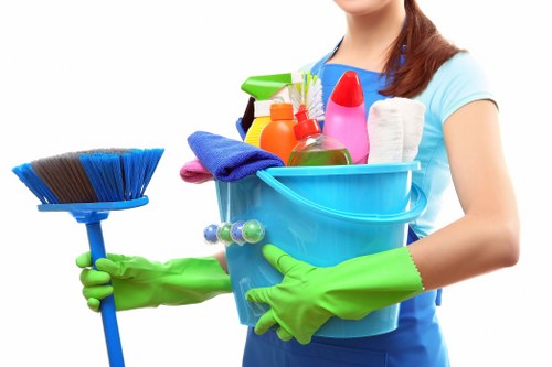 Airbnb cleaning of a kitchen countertop and appliances