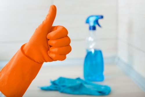 Cleaning supplies prepared for a house cleaning service