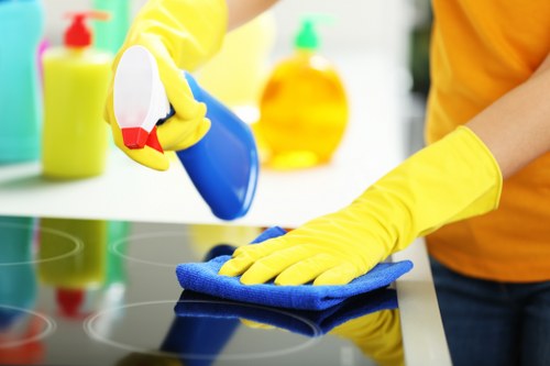 Household cleaning tools used for regular cleaning and maintenance