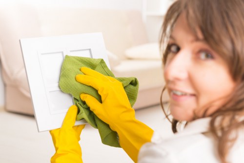 Essential domestic cleaning supplies for regular home care