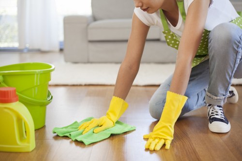 Professional mattress cleaning removing dust and allergens