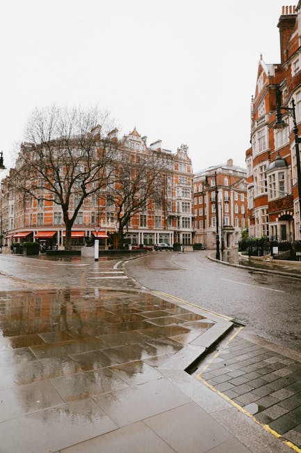 An urban street scene in Mayfair, W1 with commercial buildings featuring large windows and modern architectural design. Multiple luxury cars, including a yellow sports car and a black vehicle, are par